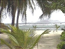 palm_beach1.jpg (27278 bytes)